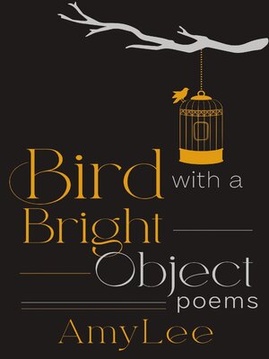 cover image of Bird with a Bright Object